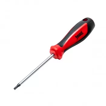 Screwdriver T25x100 