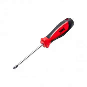 Screwdriver T30x100 